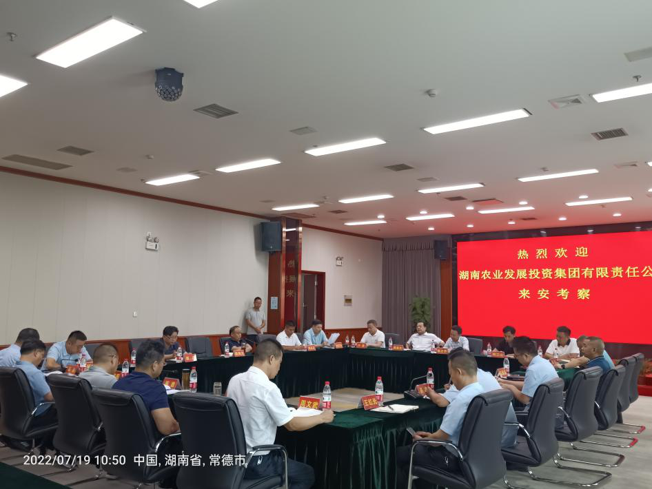 楊正華調研中非堅果產業園項目